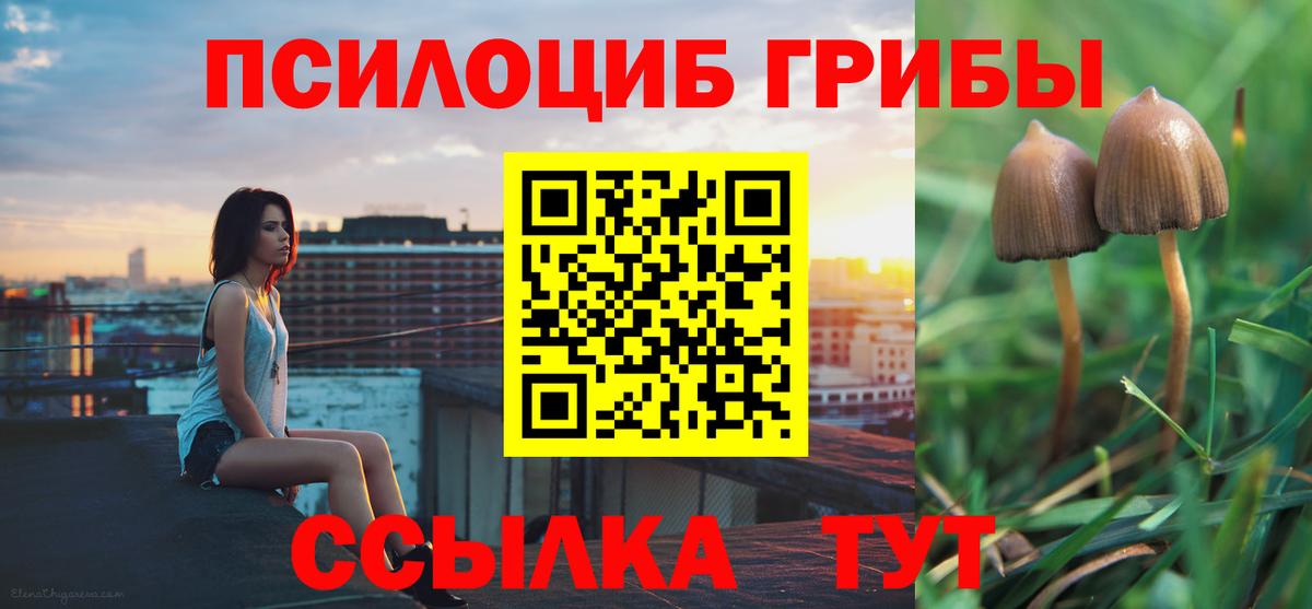 Галлюциногенные грибы ЛСД  Галлюциногенные грибы прущие грибы  Среднеуральск  Вход с VPN 